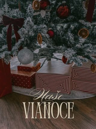 Trošku z našich Vianoc ❤️ Boli iné ako inokedy, stáli ma pár ťažkých rozhodnutí o ukončení vzťahov, ktoré možno niektorí...